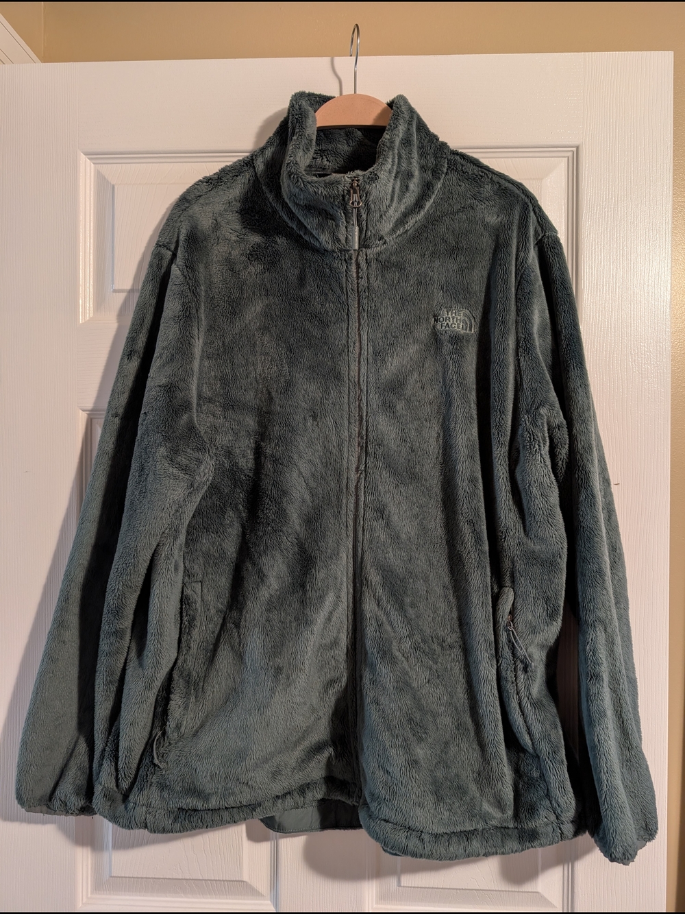 The North Face Women's Plus Plush Full-Zip Fleece Jacket - Dark Green